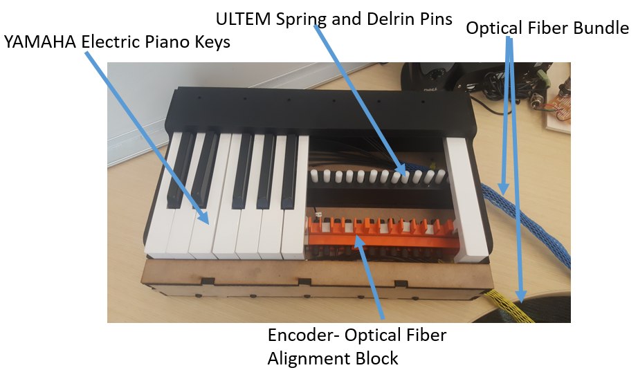 Labeled cutaway showing the Yamaha keybed, ULTEM springs, and optical fiber bundle