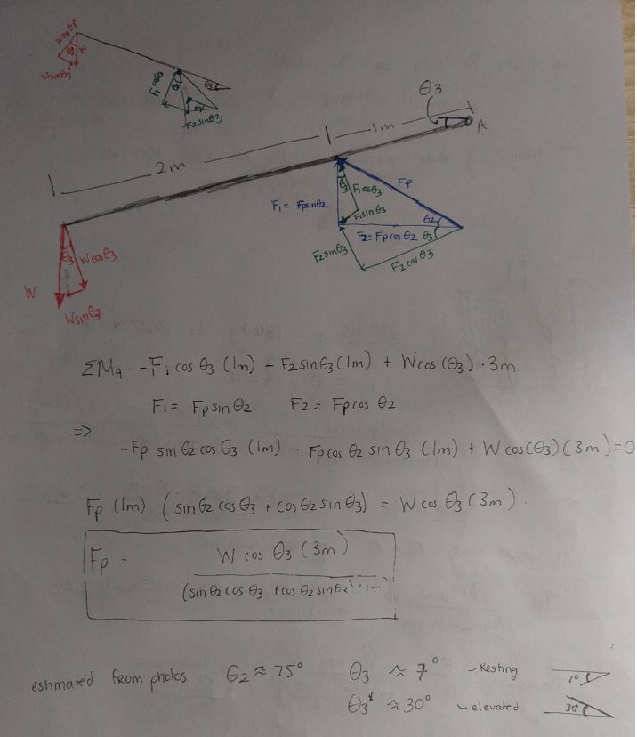 Hand-drawn free body diagram of the linkage arm, 3 m long with the piston attached 1 m from the pivot at A. The weight W acts at the far end, resolved into W cos theta-3 and W sin theta-3, and the piston force F-p is resolved into components F-1 equals F-p sin theta-2 and F-2 equals F-p cos theta-2. Taking moments about A and solving gives F-p equals W cos theta-3 times 3 m, over the quantity sin theta-2 cos theta-3 plus cos theta-2 sin theta-3, times 1 m. Angles estimated from photographs are theta-2 about 75 degrees, theta-3 about 7 degrees resting and about 30 degrees elevated