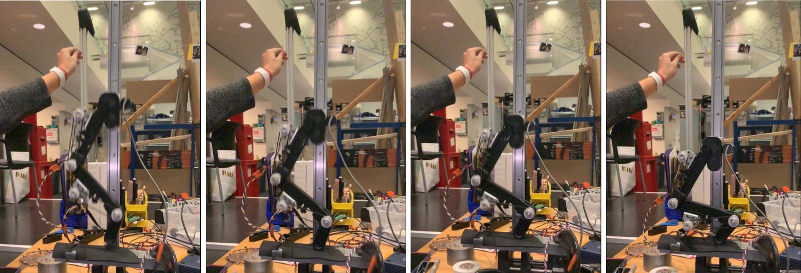 Four frames of a drop test: a hand lifts the leg up the guide rail and releases it, and the leg falls and lands on the pad with the knee flexing